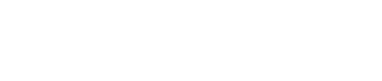 Pecan Prairie Solar Project - logotype white